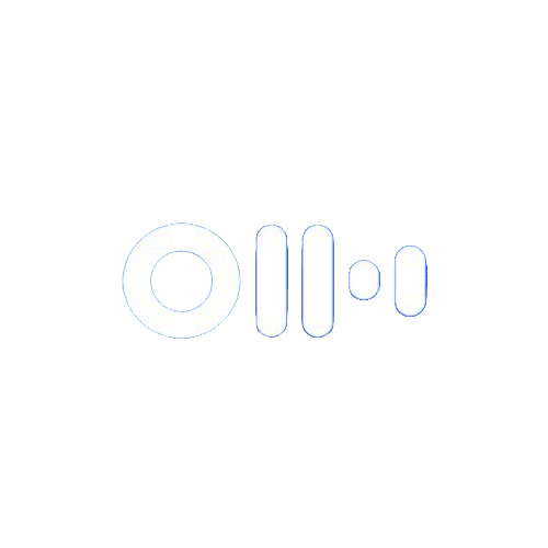 Otter.ai