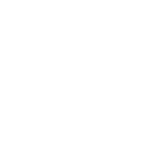 Zulu Network